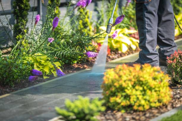 Best Sidewalk and Walkway Cleaning  in Vine Hill, CA